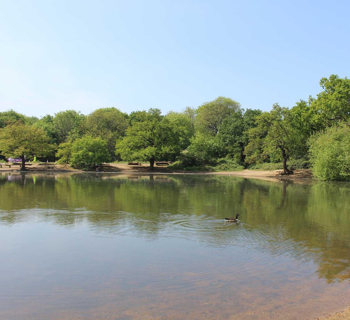 About Us |  W. English & Sons Funeral Directors in South London